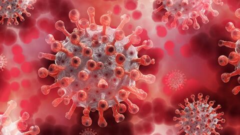 Makroaufnahme Coronavirus, rot eingefärbt.