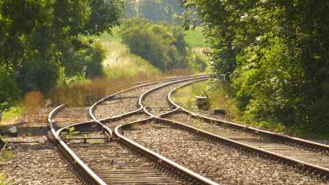 Bahnschienen bilden eine Kurve nach rechts, auf der linken und rechten Seite daneben stehen Bäume.