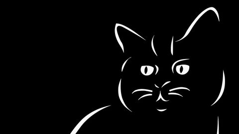 Illustration eines Katzenkopfs auf schwarzem Grund.
