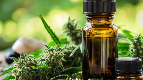 Cannabis-Pflanzenteile, eine Glasflasche mit Flüssigkeit und Pillen