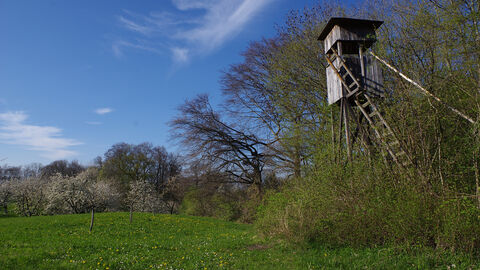 Ein Hochstand am Rand eines Waldes.
